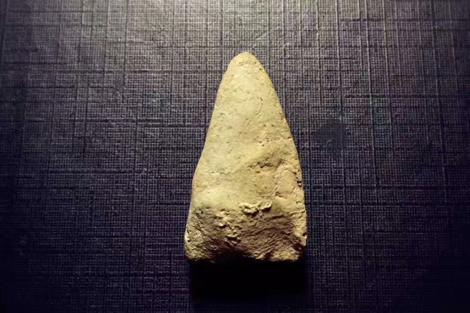 瓦巴萨2506龙普托01