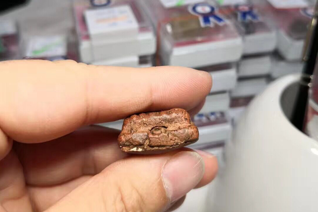 佛历2497年龙婆托像佛牌