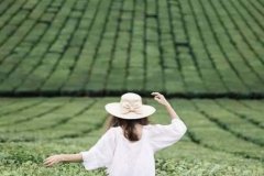 狮子座运势4月运势，狮子座们七夕情人节时，会选择什么地方约会