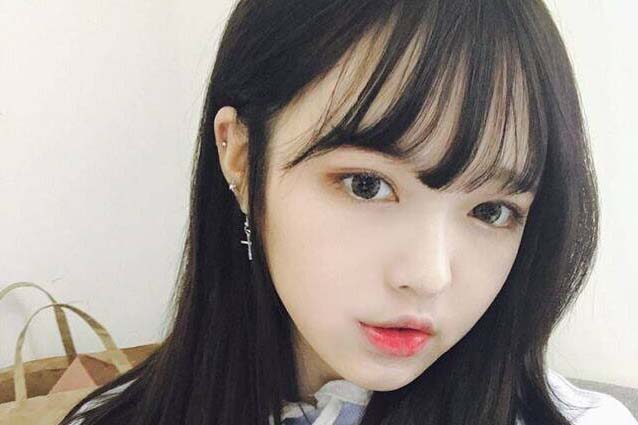 曼陀罗华狮子座今年的运势，之每周运势11月5日-11月11日