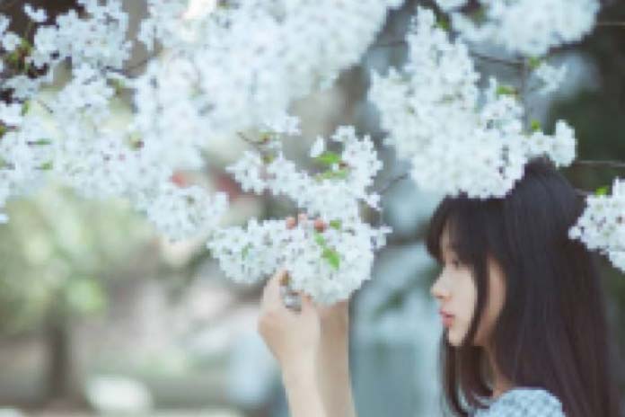 狮子座4月24日运势分析：当狮子座们被喜欢的人表白？