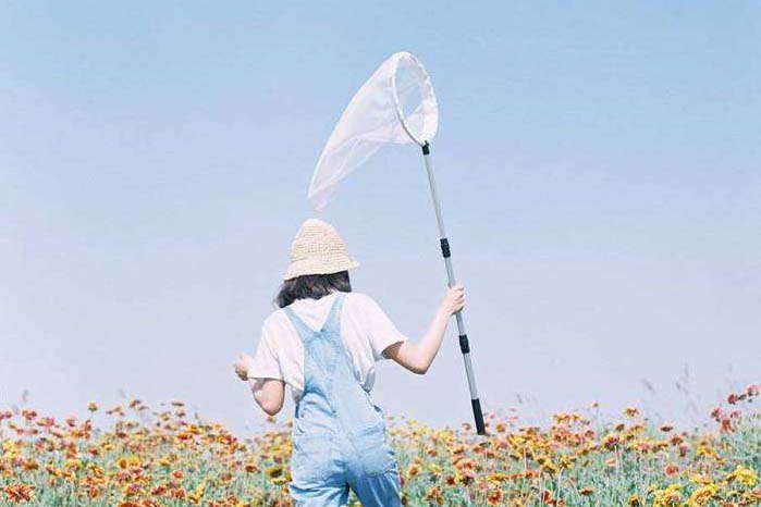 狮子座6月份运势分析:狮子座们可以允许什么是低配的