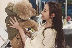 狮子座今日运势方位，狮子座的女生们对男人好会怎样表现出来