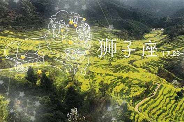 今日狮子座的运势:当狮子座的男生们惹哭了女票,他们会这样哄