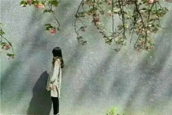 狮子座和双子座,第一次遇到道德绑架会怎么做