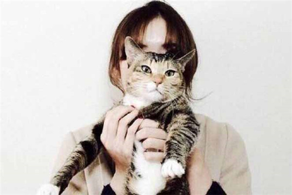 狮子座双鱼座:呆萌男友,狮子座的男生们的可爱逻辑