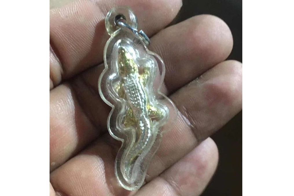 鳄鱼