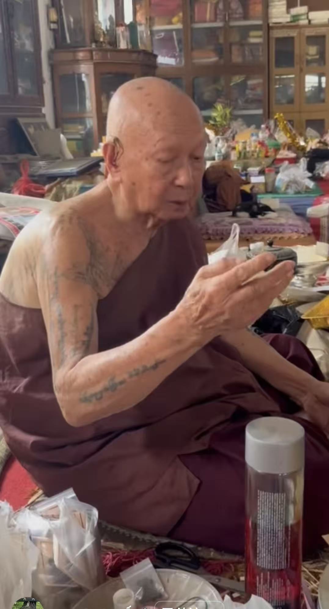 缅甸红药